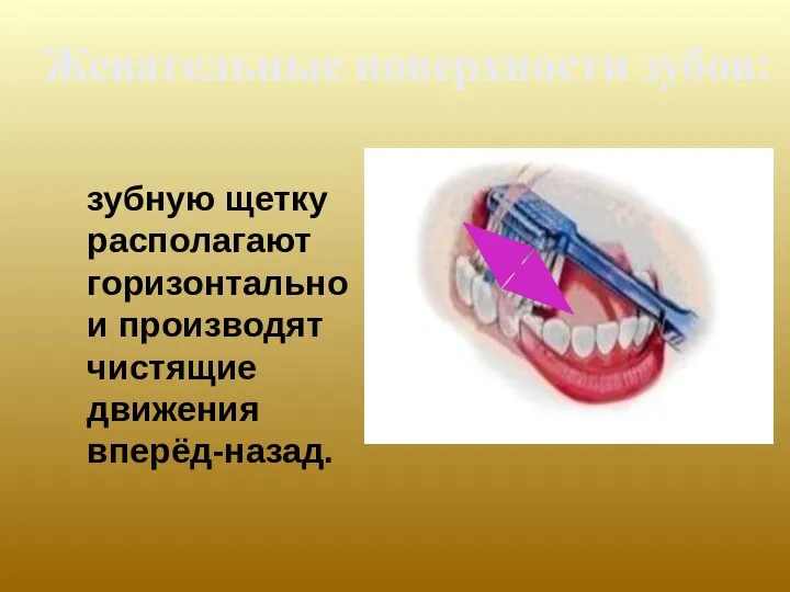 зубную щетку располагают горизонтально и производят чистящие движения вперёд-назад. Жевательные поверхности зубов: