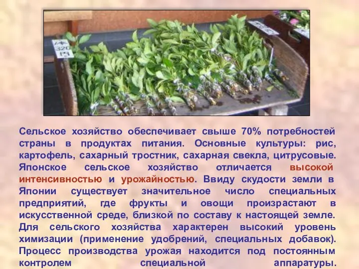 Сельское хозяйство обеспечивает свыше 70% потребностей страны в продуктах питания. Основные