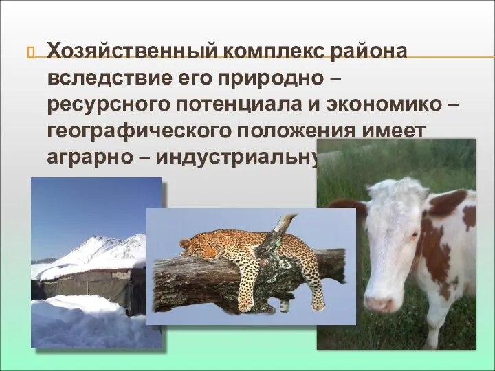 Хозяйственный комплекс района вследствие его природно – ресурсного потенциала и экономико