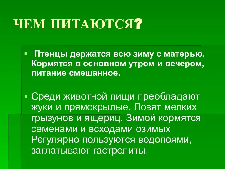 ЧЕМ ПИТАЮТСЯ? Птенцы держатся всю зиму с матерью. Кормятся в основном