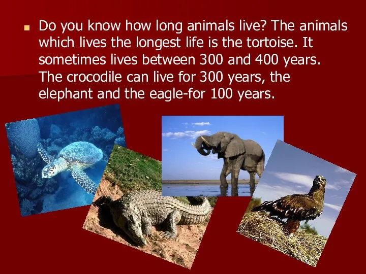 Do you know how long animals live? The animals which lives