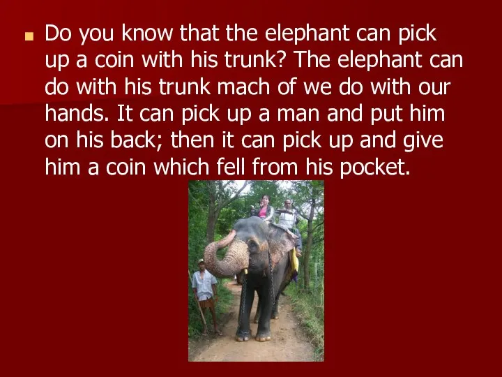 Do you know that the elephant can pick up a coin