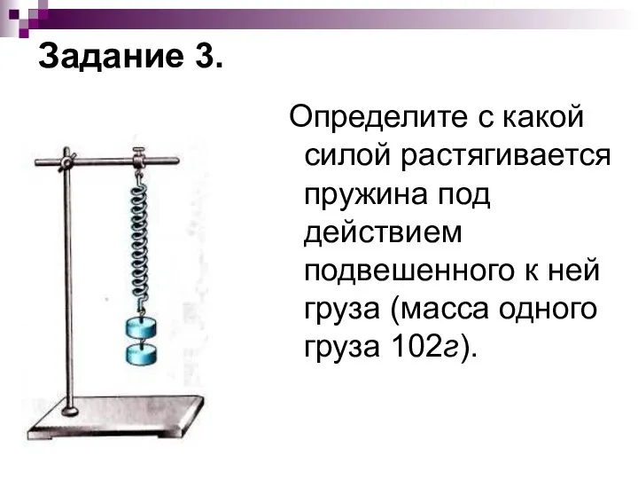 Задание 3. Определите с какой силой растягивается пружина под действием подвешенного