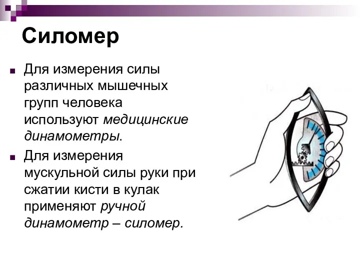 Силомер Для измерения силы различных мышечных групп человека используют медицинские динамометры.