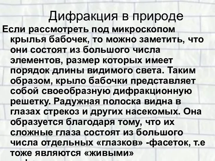 Дифракция в природе Если рассмотреть под микроскопом крылья бабочек, то можно