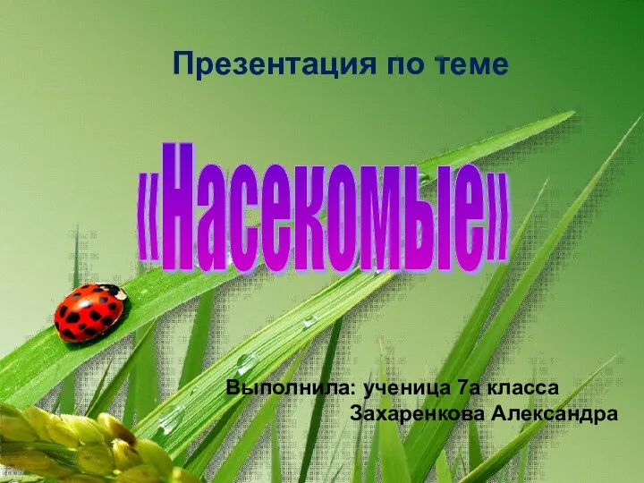 Презентация по теме «Насекомые» Выполнила: ученица 7а класса Захаренкова Александра