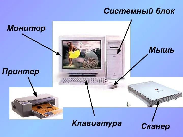 Монитор Системный блок Клавиатура Мышь Принтер Сканер