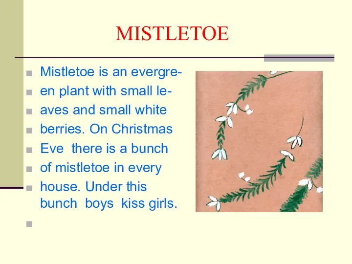 MISTLETOE Mistletoe is an evergre- en plant with small le- aves