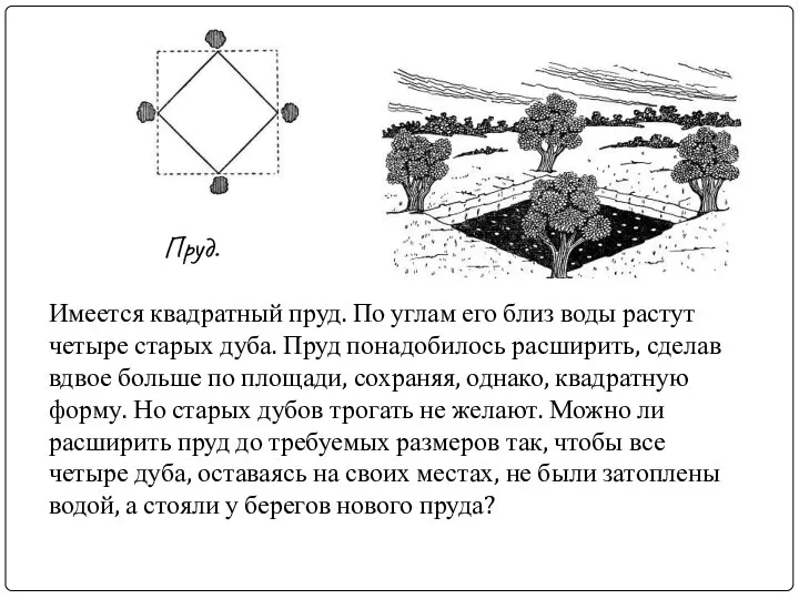 Имеется квадратный пруд. По углам его близ воды растут четыре старых