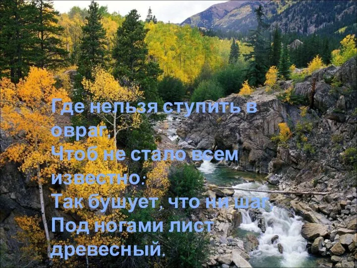 Где нельзя ступить в овраг, Чтоб не стало всем известно: Так