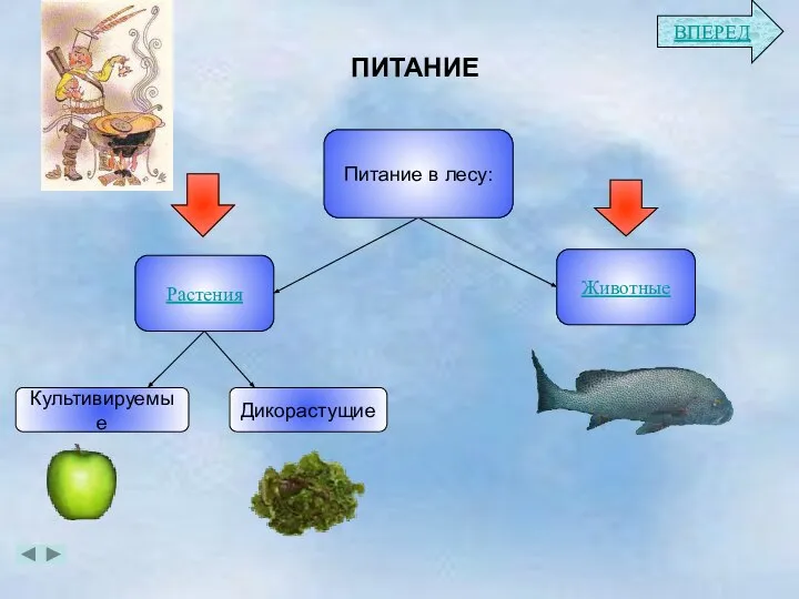 ПИТАНИЕ Растения Животные Питание в лесу: Культивируемые Дикорастущие ВПЕРЕД