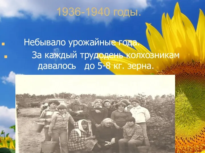 1936-1940 годы. Небывало урожайные года. За каждый трудодень колхозникам давалось до 5-8 кг. зерна.