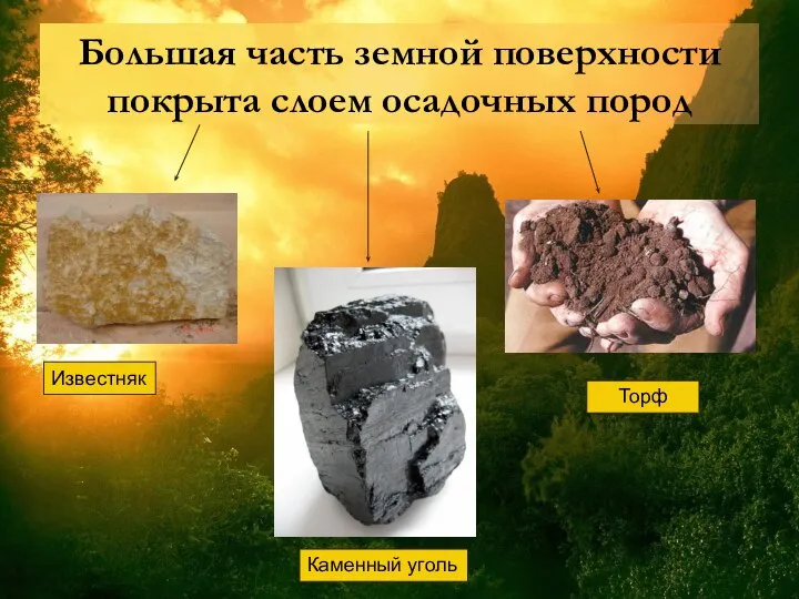 Большая часть земной поверхности покрыта слоем осадочных пород Известняк Каменный уголь Торф