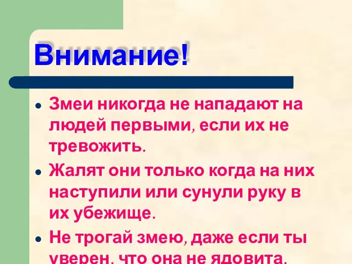 Внимание! Змеи никогда не нападают на людей первыми, если их не