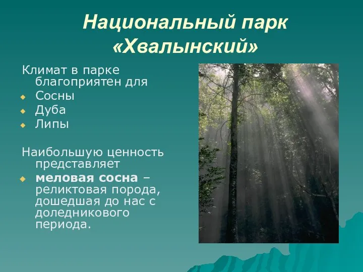 Национальный парк «Хвалынский» Климат в парке благоприятен для Сосны Дуба Липы