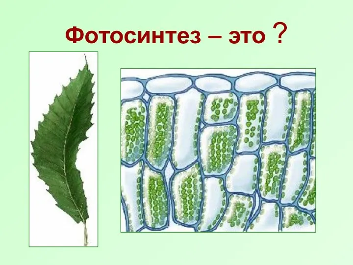 Фотосинтез – это ?