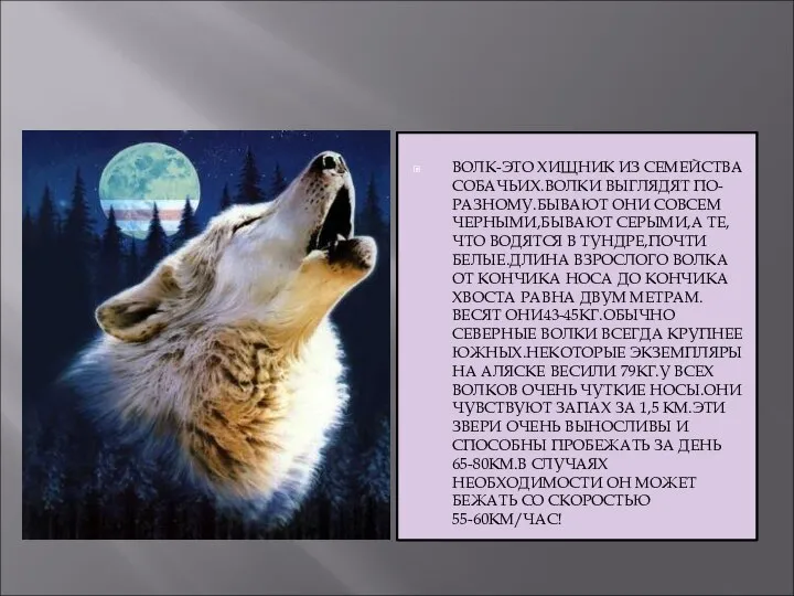 ВОЛК-ЭТО ХИЩНИК ИЗ СЕМЕЙСТВА СОБАЧЬИХ.ВОЛКИ ВЫГЛЯДЯТ ПО-РАЗНОМУ.БЫВАЮТ ОНИ СОВСЕМ ЧЕРНЫМИ,БЫВАЮТ СЕРЫМИ,А