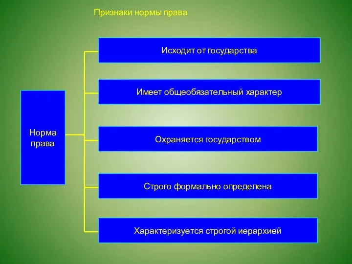 Норма права Исходит от государства Признаки нормы права Имеет общеобязательный характер