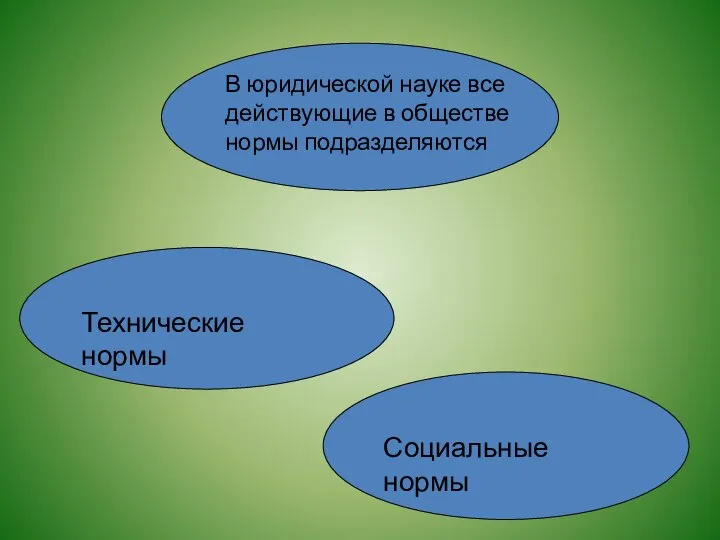 Социальные нормы Технические нормы В юридической науке все действующие в обществе нормы подразделяются