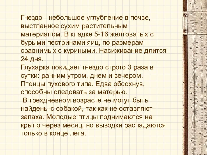 Гнездо - небольшое углубление в почве, выстланное сухим растительным материалом. В