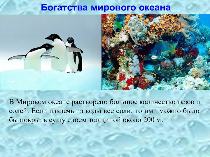 Богатства мирового океана В Мировом океане растворено большое количество газов и