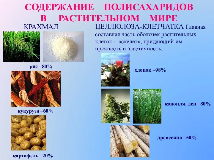 СОДЕРЖАНИЕ ПОЛИСАХАРИДОВ В РАСТИТЕЛЬНОМ МИРЕ