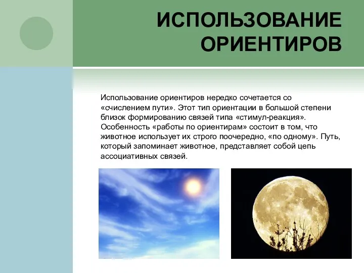 ИСПОЛЬЗОВАНИЕ ОРИЕНТИРОВ Использование ориентиров нередко сочетается со «счислением пути». Этот тип