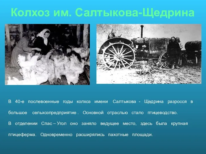 Колхоз им. Салтыкова-Щедрина В 40-е послевоенные годы колхоз имени Салтыкова -