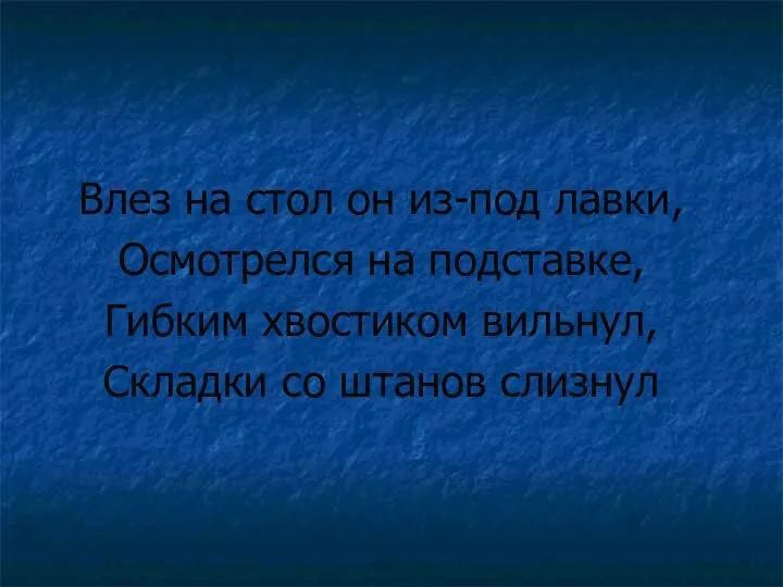 Влез на стол он из-под лавки, Осмотрелся на подставке, Гибким хвостиком вильнул, Складки со штанов слизнул