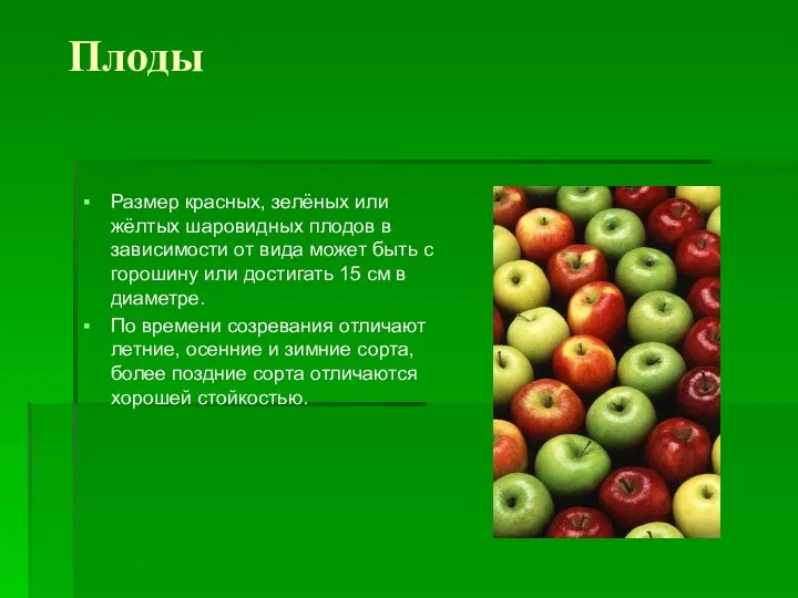 Плоды Размер красных, зелёных или жёлтых шаровидных плодов в зависимости от