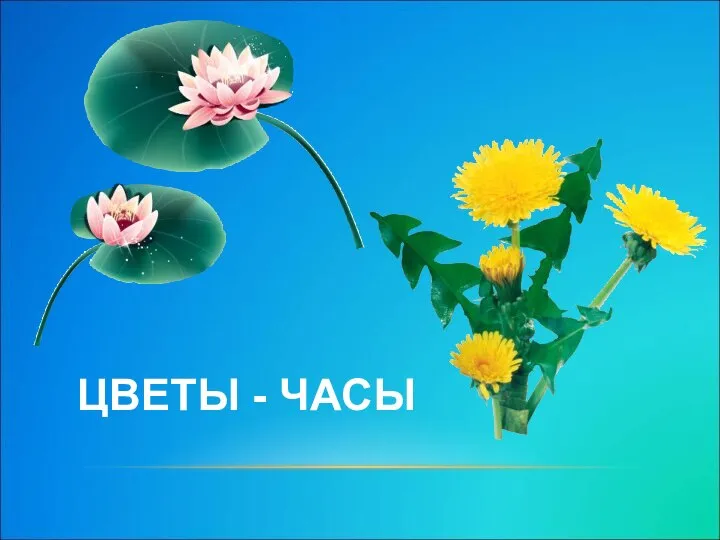 ЦВЕТЫ - ЧАСЫ