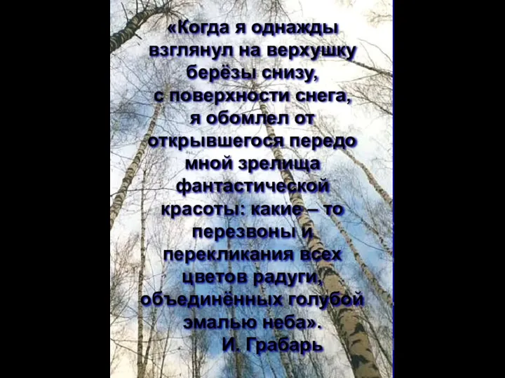 «Когда я однажды взглянул на верхушку берёзы снизу, с поверхности снега,