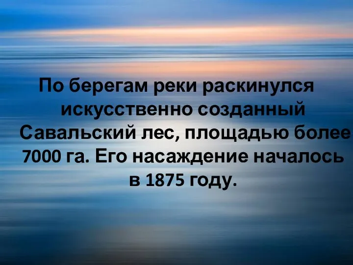 По берегам реки раскинулся искусственно созданный Савальский лес, площадью более 7000