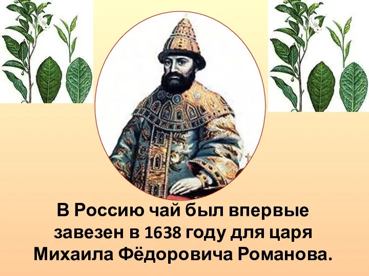 В Россию чай был впервые завезен в 1638 году для царя Михаила Фёдоровича Романова.