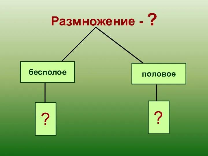 Размножение - ? бесполое половое ? ?