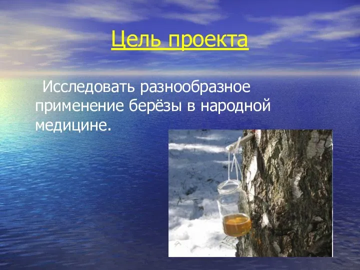 Цель проекта Исследовать разнообразное применение берёзы в народной медицине.