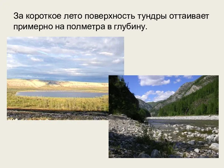 За короткое лето поверхность тундры оттаивает примерно на полметра в глубину.