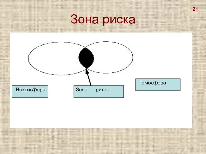 Зона риска Ноксосфера Гомосфера Зона риска 21