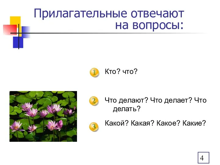 Прилагательные отвечают на вопросы: Кто? что? Что делают? Что делает? Что делать? Какой? Какая? Какое? Какие?