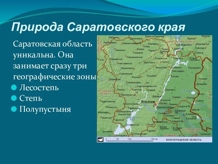 Природа Саратовского края Саратовская область уникальна. Она занимает сразу три географические зоны: Лесостепь Степь Полупустыня