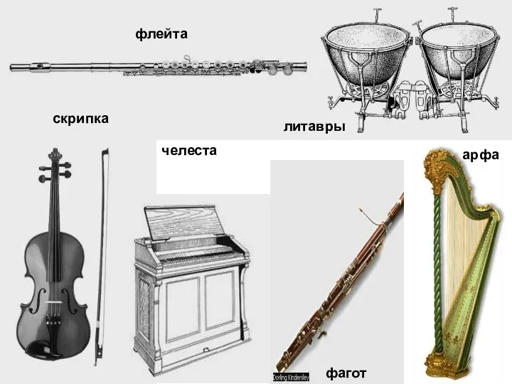 флейта скрипка челеста фагот литавры арфа