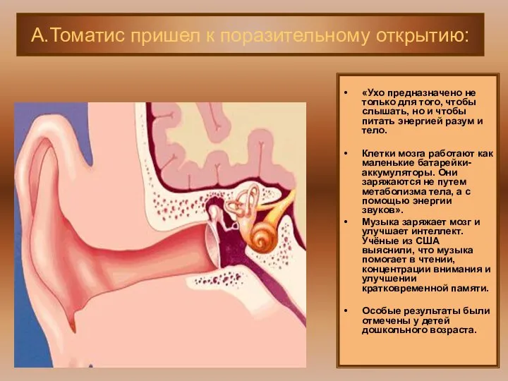 «Ухо предназначено не только для того, чтобы слышать, но и чтобы