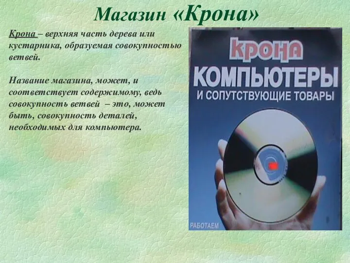 Магазин «Крона» Крона – верхняя часть дерева или кустарника, образуемая совокупностью