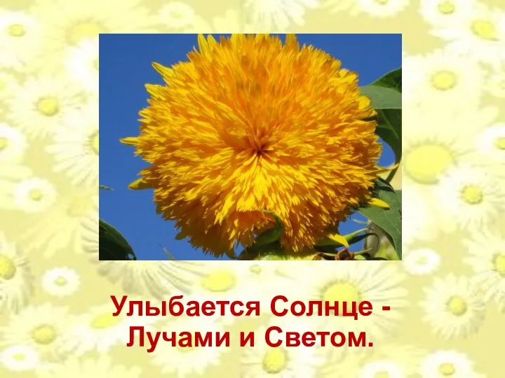 Улыбается Солнце - Лучами и Светом.