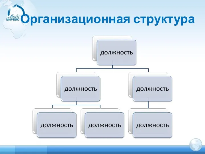 Организационная структура