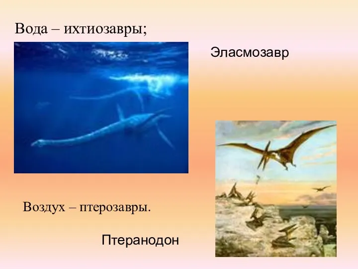 Вода – ихтиозавры; Эласмозавр Воздух – птерозавры. Птеранодон