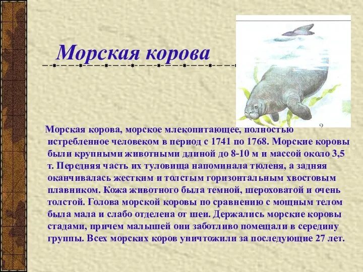 Морская корова Морская корова, морское млекопитающее, полностью истребленное человеком в период