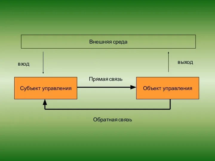 Субъект управления Объект управления Внешняя среда выход вход Прямая связь Обратная связь