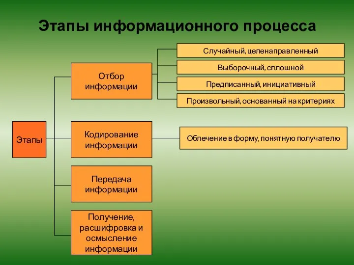 Этапы информационного процесса Этапы Отбор информации Случайный, целенаправленный Выборочный, сплошной Предписанный,