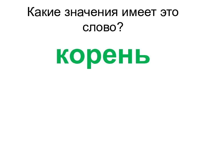 корень Какие значения имеет это слово?